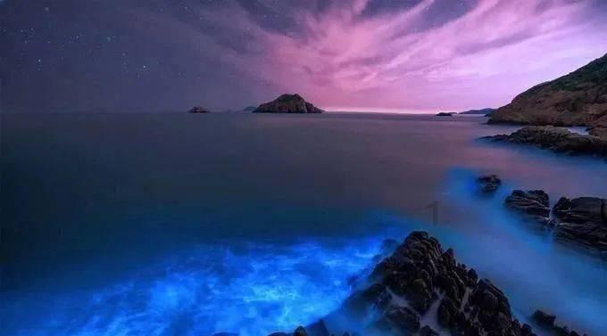 独步竹林